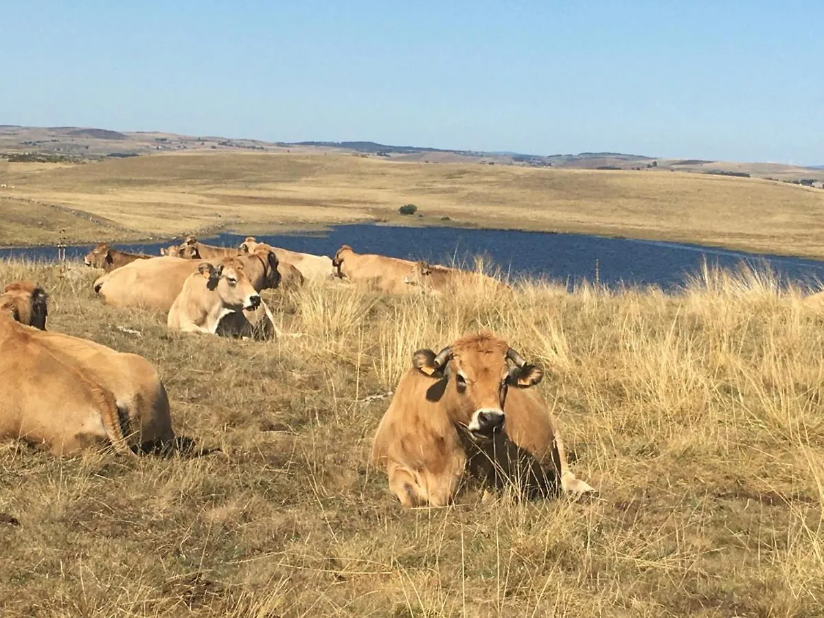 Сasa de vacaciones Gite Aux Portes D'Aubrac Condom-d'Aubrac