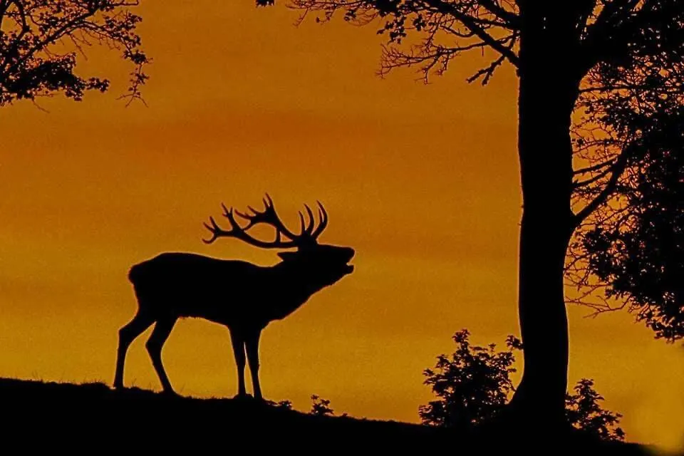 Gite Aux Portes D'Aubrac Condom-d'Aubrac Francia